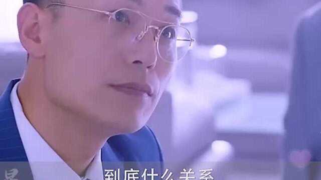 小包总劝戴维及时收手保住公司 幕后嘿手落网公司副总裁竞被他挖走