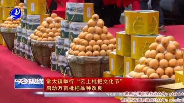 常太镇举行“云上枇杷文化节”启动万亩枇杷品种改良