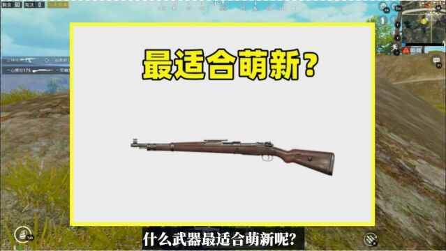 什么武器最适合萌新?最后1把是官方专为新手设计