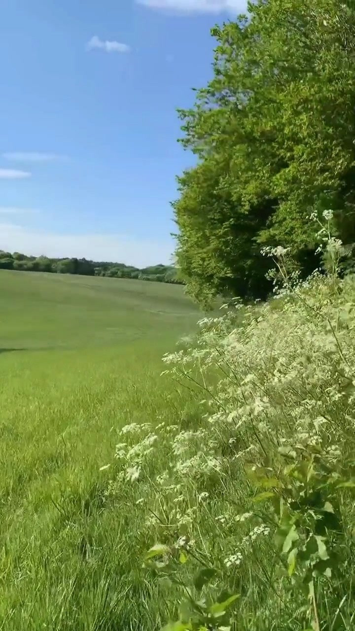 四月的微风飘着路边槐花的清芬轻轻地吹拂着面颊与发鬓温柔的慰抚有如
