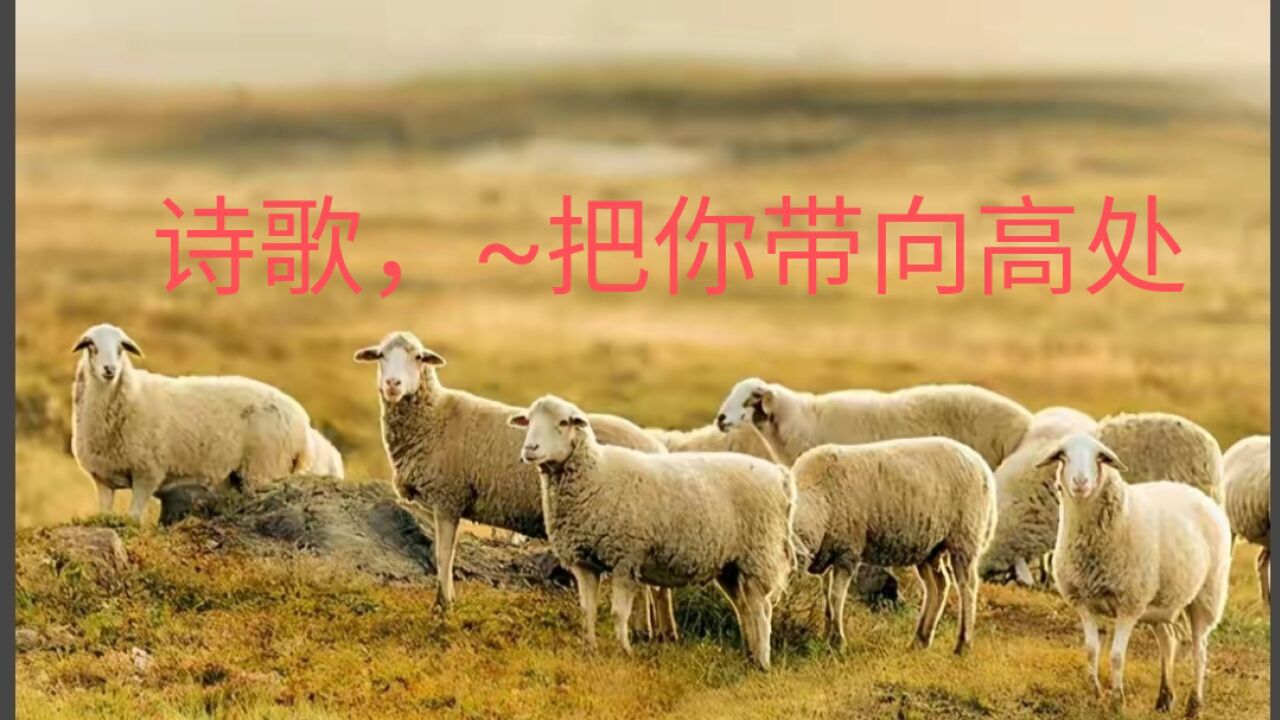 诗歌,主把你带向高处._腾讯视频