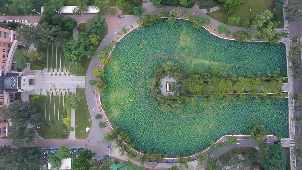 南开大学马蹄湖与党史故事