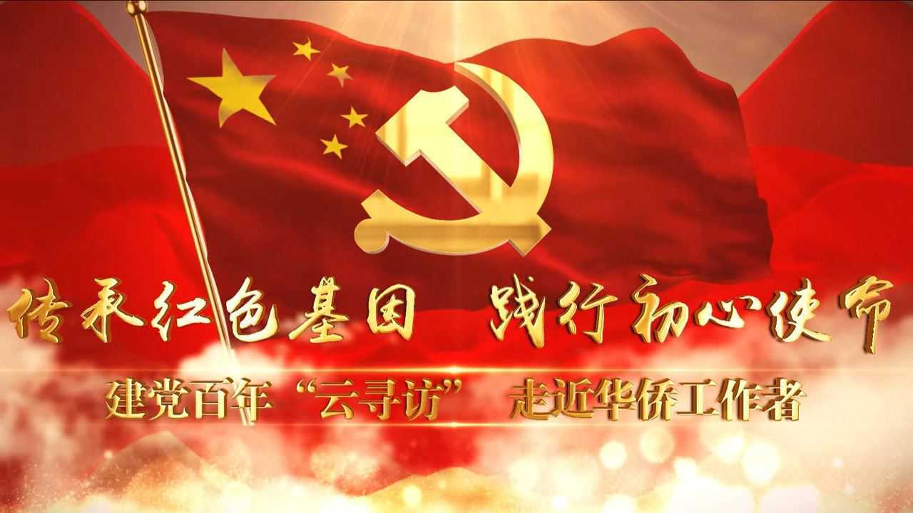 挑战杯大学生挑战杯红色专项活动百年建党心联侨胞