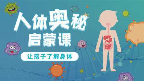 1.人体构造和器官_少儿_动画片大全_腾讯视频