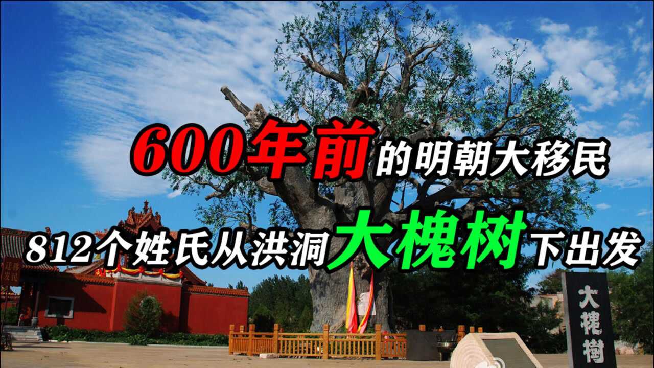 600年前的明朝大移民,812个姓氏从洪洞大槐树下出发,有你先祖吗_腾讯视频