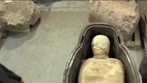 影视：木乃伊出现在现代博物馆，不料并没死亡，体内蕴藏巨大能量