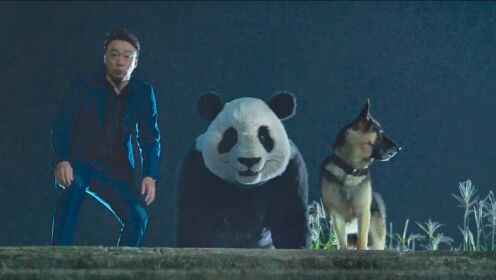 韩国警探能听懂动物说话，靠着一条狗，救出了国宝大熊猫！