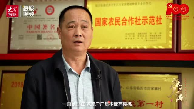 为了人民④丨昔日“好例”大变身,厉家寨人誓要再创“好例”