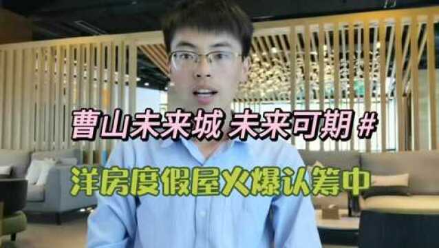 环球融创曹山未来城洋房度假屋火爆认筹中,来看看户型吧.