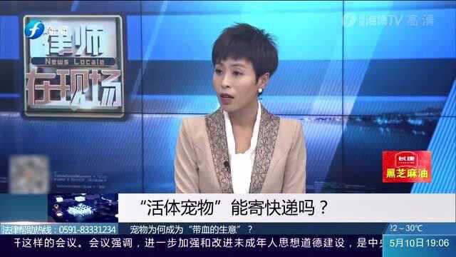 泪目!宠物竟成为“带血生意”!快递运输活物将会受到法律惩罚