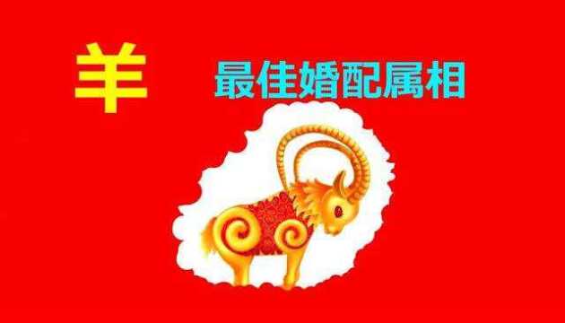 生肖羊最佳婚配属相是谁