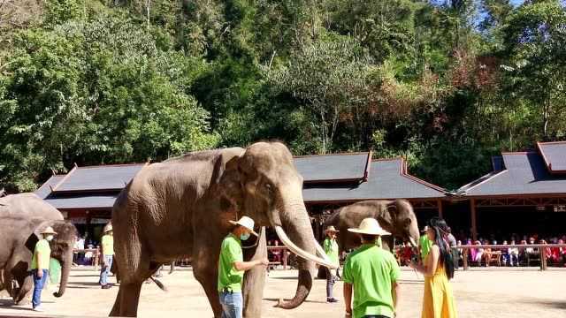 西双版纳之旅