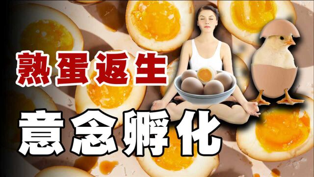 熟蛋返生孵小鸡,是学术论文造假?还是超能力真的存在