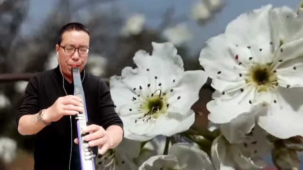 电吹管,一首陕北民歌《梦中的兰花花》