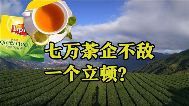 七万茶企不敌一个立顿?专家:这是中国茶叶被黑得最惨的一次!