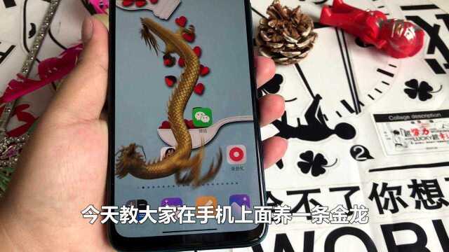 教你在手机上养条中国龙,威武霸气,看完视频就能学会了