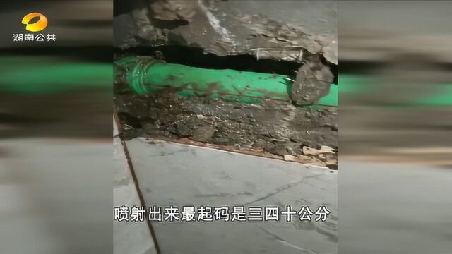 (一帮到底)新房成了“水泡房 业主凿壁取证 业主:“金牛管”不管?