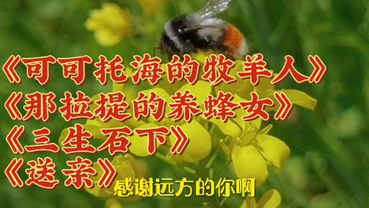 亚男版可可托海的牧羊人那拉提的养蜂女三生石下送亲