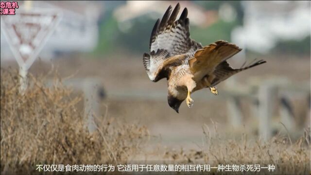 生态危机5群落生态学捕食者(下)