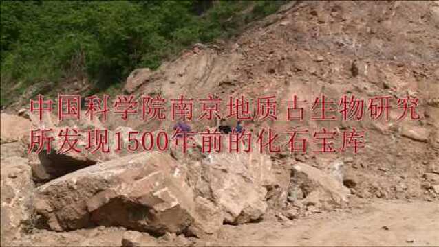 中国科学院南京地质古生物研究所发现1500万年前的化石宝库!