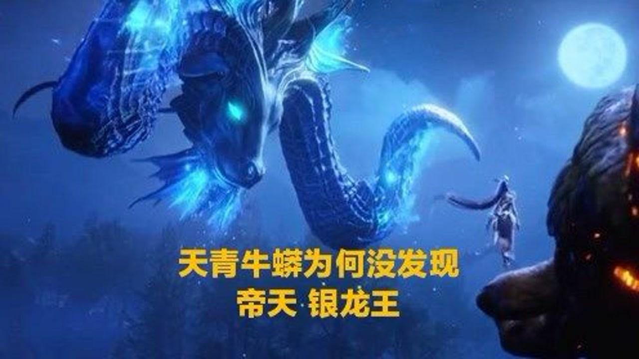 天青牛蟒为何没有发现帝天 银龙王?
