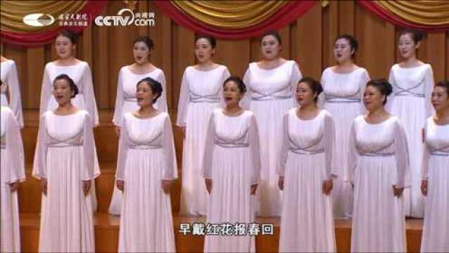 女声合唱《芦花》,简直太美了~