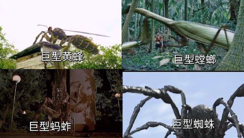 电影中的这四大巨型昆虫，你觉得谁更厉害，巨型蜘蛛好大好可怕