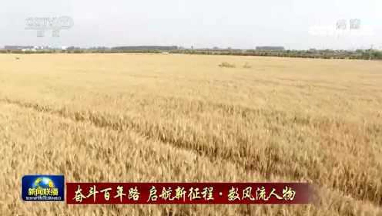 小岗村：掀开农村改革序幕_高清
