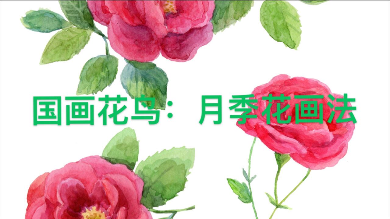 【教你画国画】国画花鸟画中月季花与玫瑰花的画法有何不同呢？看这里学会月季花画法_高清1080P在线观看平台_腾讯视频