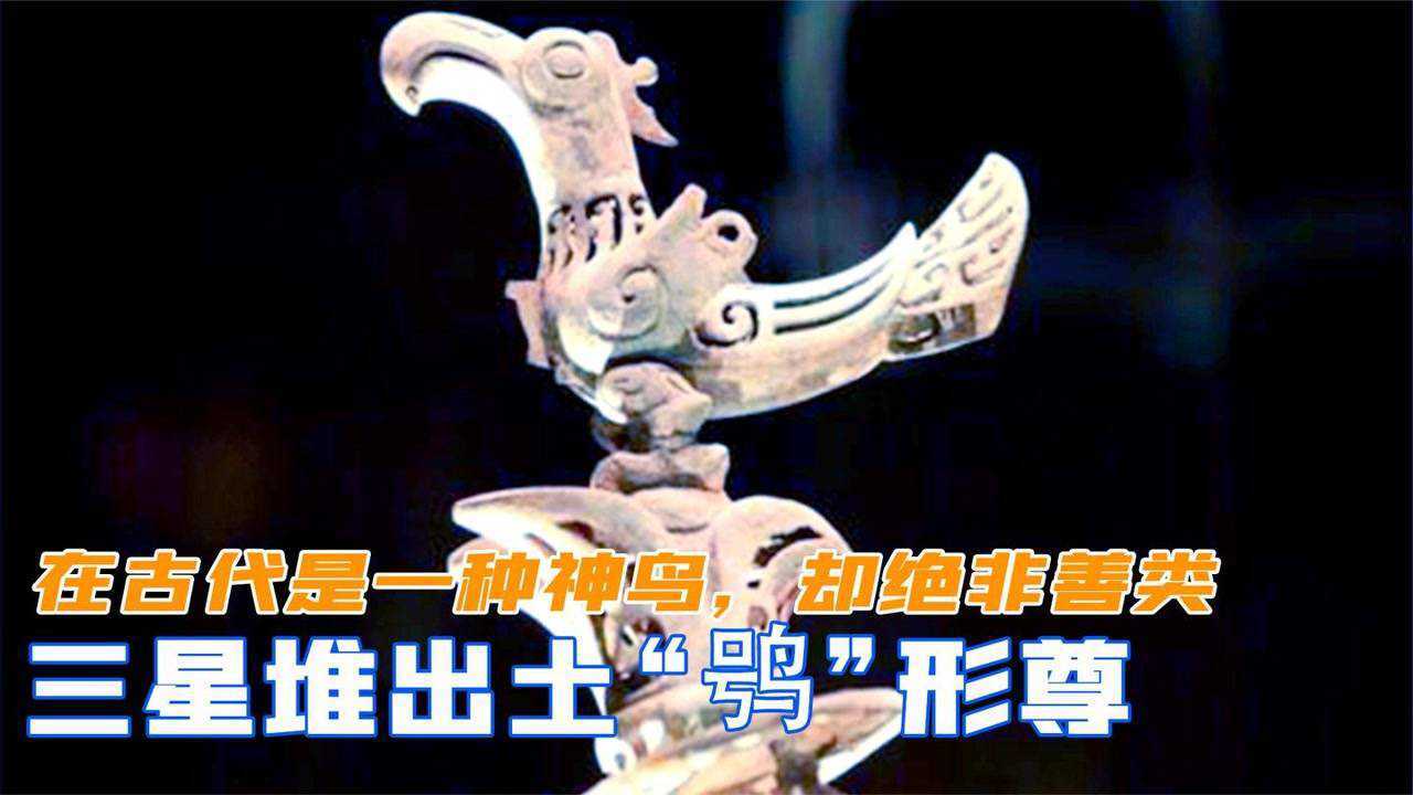 三星堆出土"鸮"形尊,在古代是一种神鸟,却绝非善类 ,纪录片
