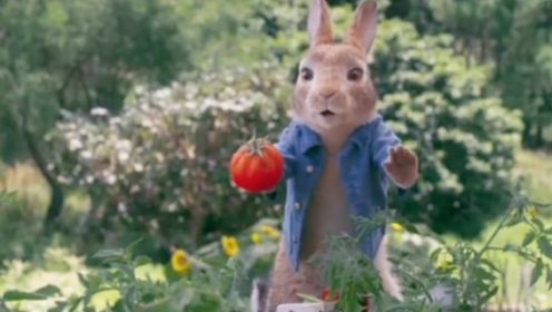 彼得兔2  一直想要逃离的彼得，兔兔也要见世面！ 郭麒麟配音的比得兔逃出农村，跑到城市来啦！#电影种草指南短视频大赛#