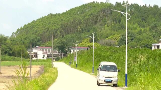 东华禅寺捐建路灯——照亮石背村村民回家的路