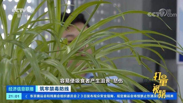 毒品交易以国外非法网站为平台,用比特币支付