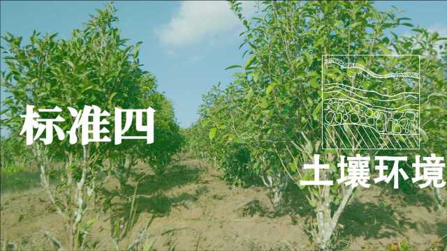 福海班章有机茶标准(四):土壤环境