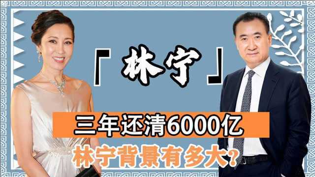 林宁背景有多厉害?不仅帮助万达起死回生,为救王思聪拿出1亿