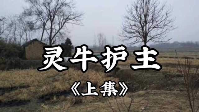 民间故事《灵牛护主》上集