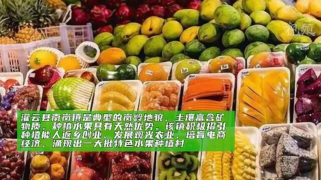 南岗镇 “两紫三红”铺就群众致富路!