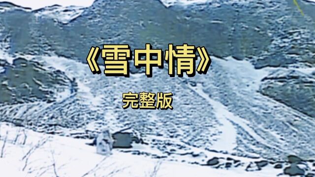 雪山飞狐主题曲《雪中情》经典老歌,百听不厌