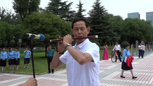 扬鞭催马运粮忙ⷮŠ杨美琪演奏ⷨ忥“天艺术合唱团