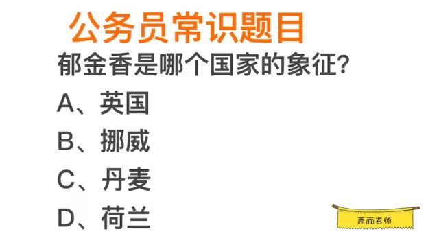 公务员常识,郁金香是哪个国家的国花?