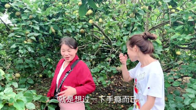 农村女孩喊话粉丝朋友们:梨子免费送,免费吃咯,网友:霸气