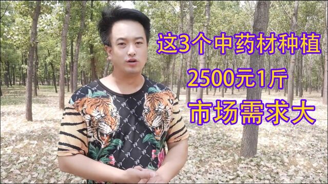 这3个药材市场需求大,亩产值5.2万10万,2500元1斤,值得参考