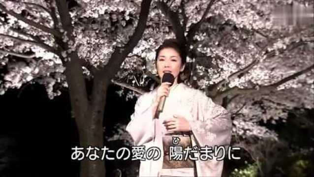 藤彩子唯美的演歌《花之华尔兹》,良辰美景如诗如画