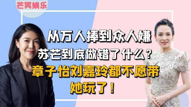 苏芒这次火了,节目中行为从万人捧到众人嫌,让网友备受争议?