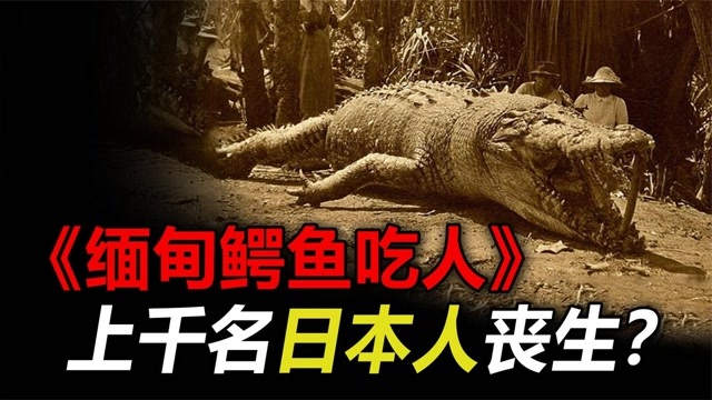 缅甸鳄鱼吃人惨案著名的兰里岛之战真有上千日本人被吃纪录片