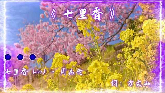 音乐流行榜:《七里香》周杰伦2004年十大金曲奖