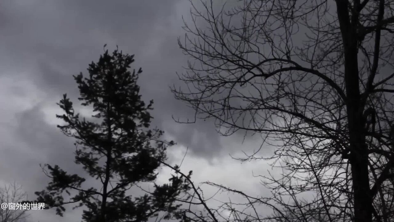 大自然的声音系列——打雷下雨,舒缓心情,释放压力_腾讯视频
