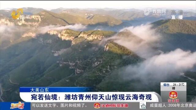 罕见!青州仰天山现云海奇观,翠绿山峦若隐若现,宛如人间仙境