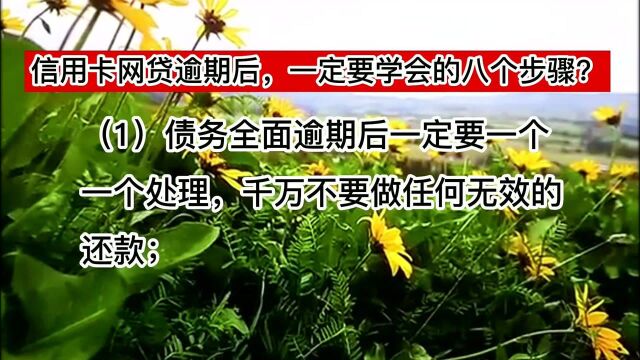 信用卡网贷逾期后,一定要学会的八个步骤?