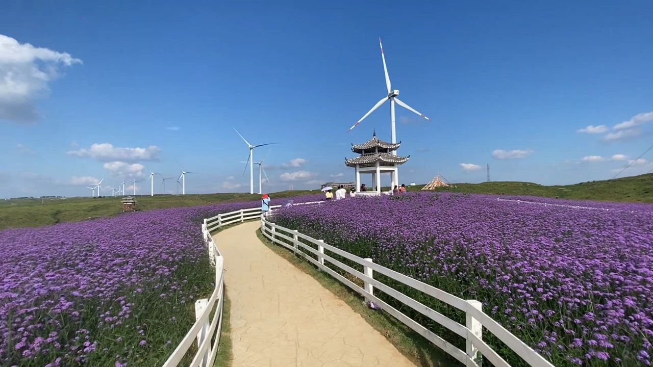 贵州花溪云顶花海网红打卡,治愈系美景